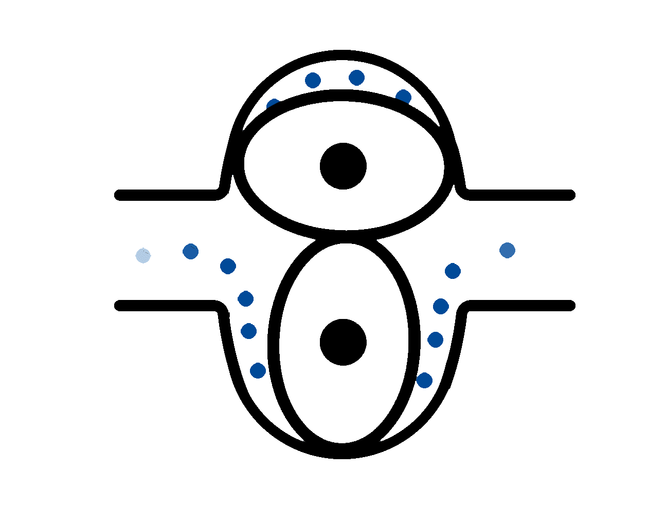 Compteurs de vitesse ovales